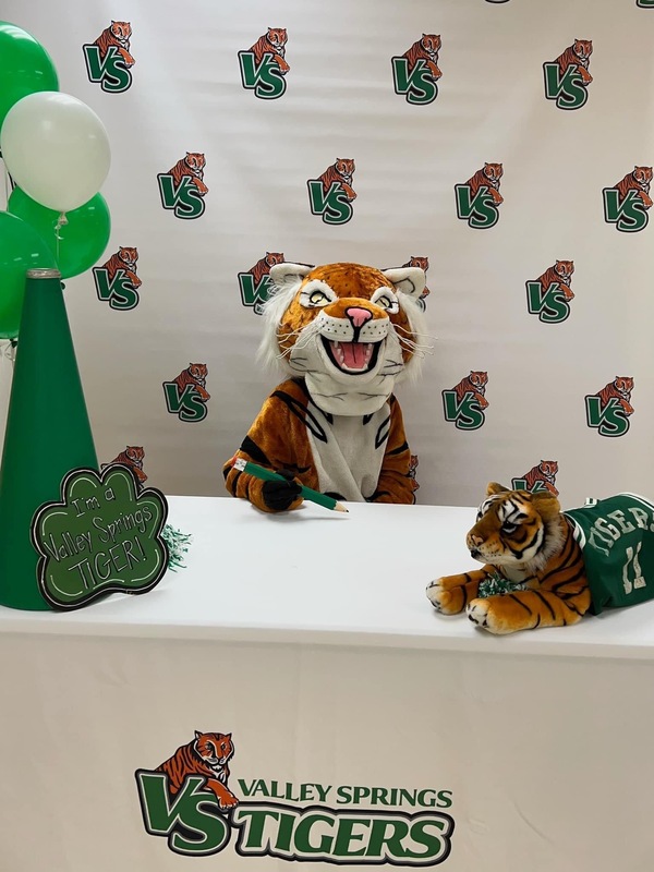 VS Tiger Mascot Kindergarten signing